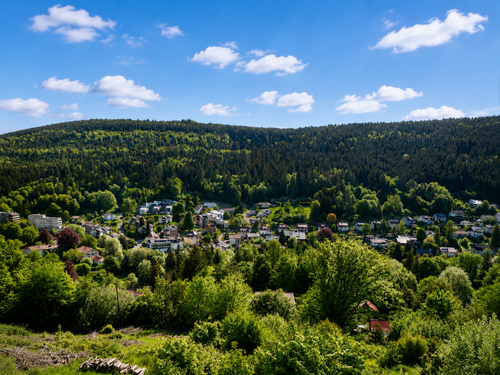 Foto - Grundstück zu verkaufen in Bad Wildbad 269.000,00 € 2380 m²