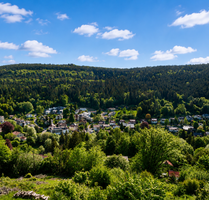 Grundstück zu verkaufen in Bad Wildbad 269.000,00 € 2380 m²