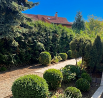 Haus zum Kaufen in Leimen 749.990,00 € 313 m²