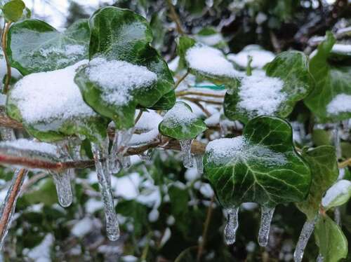 Foto - Grundstück in Berlin 580.000,00 € 1020 m²