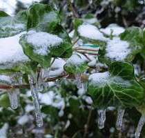 Grundstück in Berlin 580.000,00 € 1020 m²