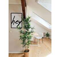 Wohnen auf Zeit in Darmstadt 1.390,00 €