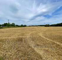 Spezialgewerbe in Abensberg 75.000,00 € 0 m²