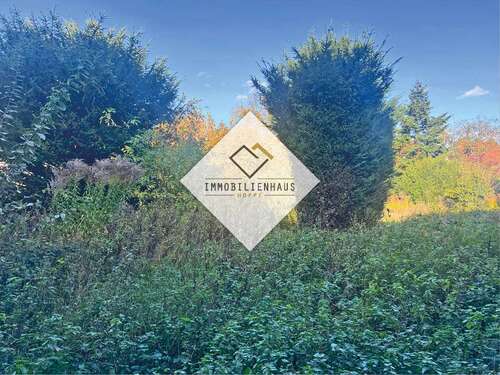 Foto - Grundstück zu verkaufen in Ginsheim-Gustavsburg 980.000,00 € 1631 m²