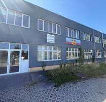 Halle in Breisach am Rhein 3.790,00 € 1110 m²