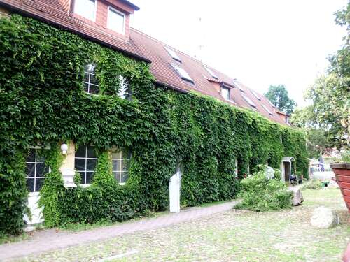 Foto - Wohnung zum Kaufen in Jesewitz 125.000,00 € 294 m²