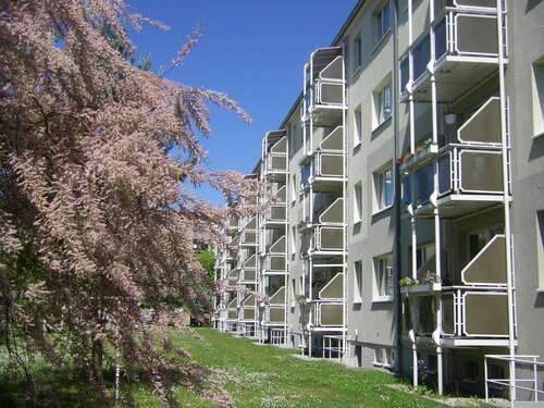 Foto - Wohnung zum Mieten in Wurzen 385,00 € 60.08 m²