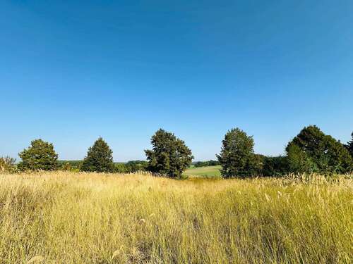 Foto - Grundstück zu verkaufen in Brüel 98.000,00 € 1037 m²