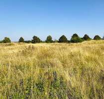 Grundstück zu verkaufen in Brüel 98.000,00 € 1005 m²