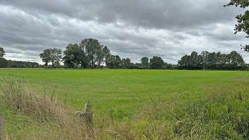 Foto - Grundstück in Hamminkeln 208.000,00 € 26707 m²