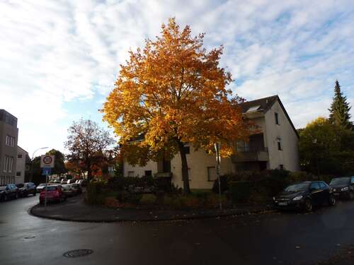 Foto - Garage zu vermieten in Bad Godesberg 80,00 €
