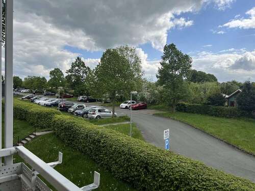 Foto - Wohnung zum Mieten in Chemnitz 250,00 € 42.49 m²