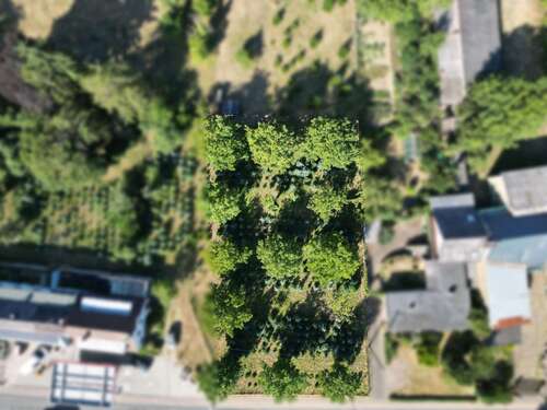 Foto - Grundstück zu verkaufen in Naunheim 125.000,00 € 1750 m²