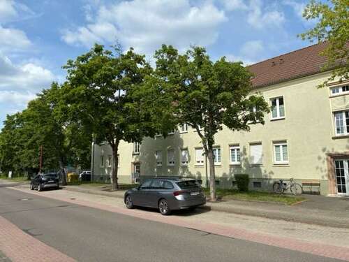 Foto - Wohnung zum Mieten in Großräschen 310,00 € 51.13 m²