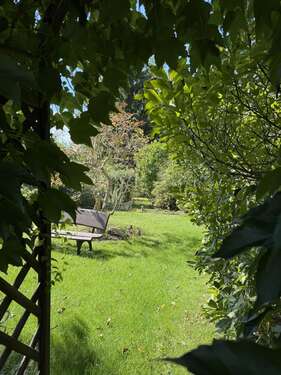 Foto - Wohnung zum Mieten in bitterfeld Wolfen 330,00 € 60 m²