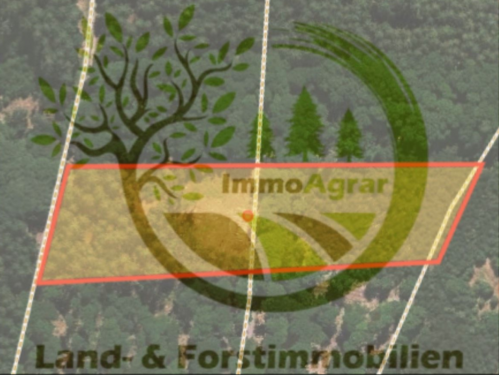Foto - Grundstück in Wald-Michelbach 39.900,00 € 11569 m²