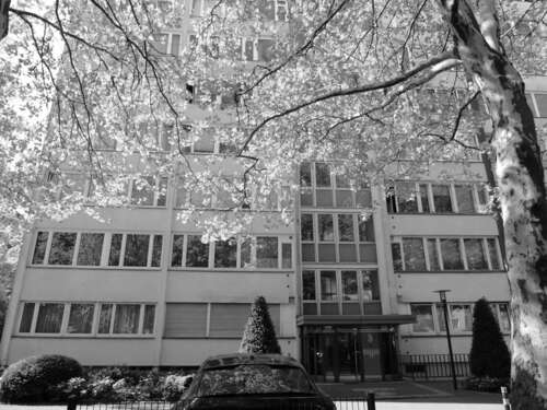 Foto - Wohnung zum Kaufen in Berlin 300.000,00 € 61 m²