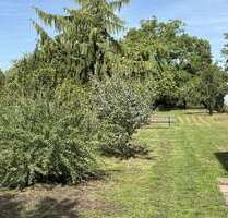 Haus zum Kaufen in Steinmauern 575.000,00 € 170 m²