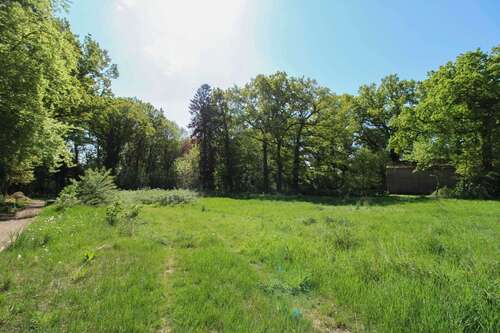 Foto - Grundstück zu verkaufen in Mittelstenahe 34.928,52 € 1380.2 m²