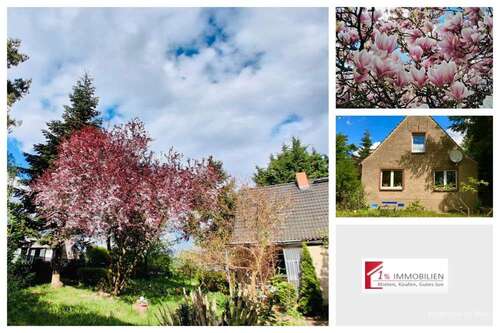 Foto - Haus zum Kaufen in Gribow 209.000,00 € 204.64 m²