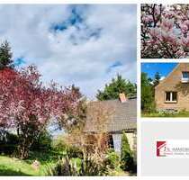 Haus zum Kaufen in Gribow 209.000,00 € 204.64 m²