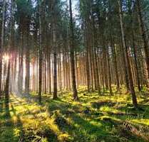 Grundstück in Kirchhaslach 429.000,00 € 123084 m²