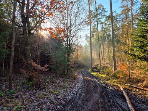Foto - Grundstück in Ehekirchen 159.000,00 € 29886 m²