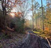 Grundstück in Ehekirchen 159.000,00 € 29886 m²