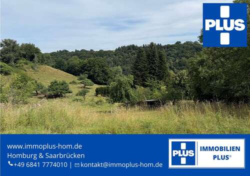 Foto - Grundstück zu verkaufen in Knopp-Labach 110.000,00 € 2600 m²