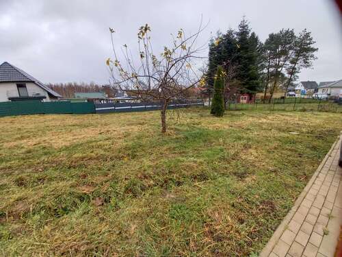 Foto - Grundstück zu verkaufen in Bergen OT Tilzow 94.900,00 € 564 m²