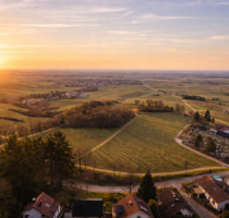 Grundstück zu verkaufen in Burrweiler 419.000,00 € 701 m²