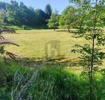 Grundstück zu verkaufen in Balzheim 150.000,00 € 730 m²