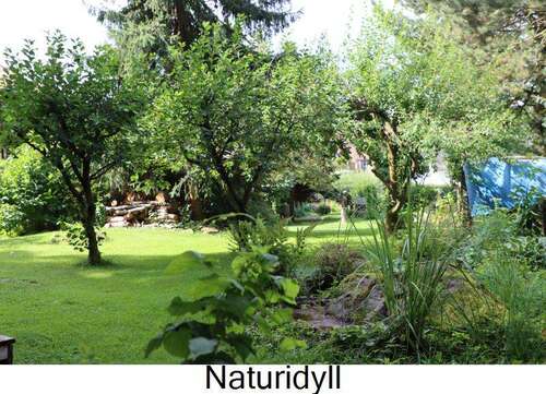 Foto - Haus zum Kaufen in Plauen 295.000,00 € 171.65 m²