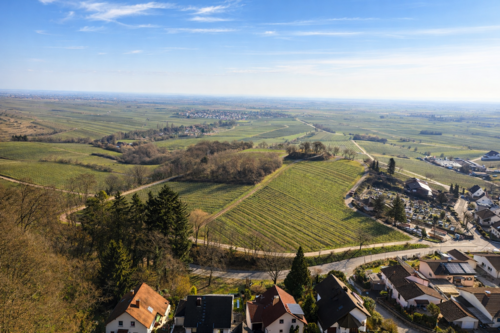 Foto - Grundstück zu verkaufen in Burrweiler 419.000,00 € 701 m²