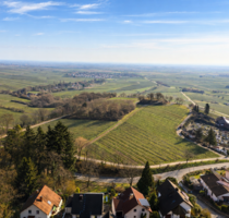 Grundstück zu verkaufen in Burrweiler 419.000,00 € 701 m²