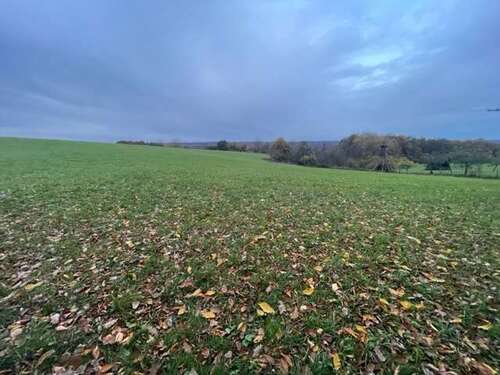 Foto - Grundstück in Eitorf 50.000,00 € 14018 m²