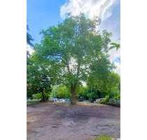 Wohnung zum Kaufen in Dresden 700.000,00 € 101 m²