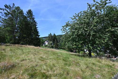 Foto - Grundstück zu verkaufen in Schmallenberg 75.000,00 € 1003 m²