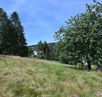 Grundstück zu verkaufen in Schmallenberg 75.000,00 € 1003 m²