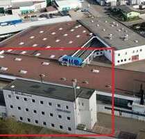 Büro in Forst 1.000,00 € 206 m²