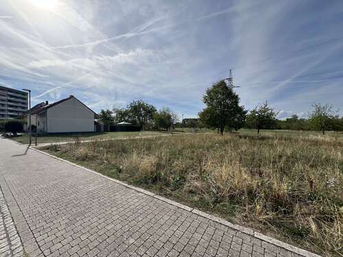 Foto - Grundstück zu verkaufen in Eimeldingen 230.000,00 € 390 m²
