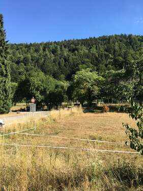 Foto - Grundstück zu verkaufen in Neuenbürg 70.000,00 € 116 m²