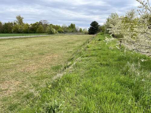 Foto - Grundstück in Beeskow 195.484,00 € 6822 m²