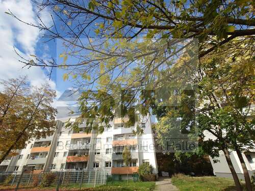 Foto - Wohnung zum Kaufen in Halle 70.000,00 € 59 m²