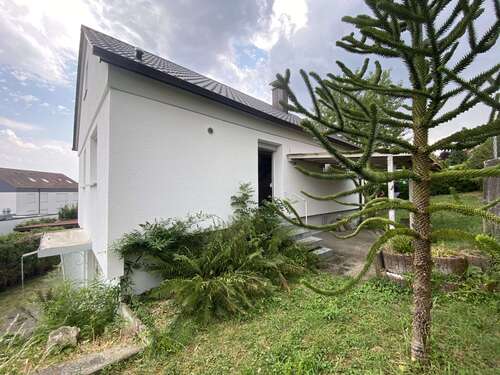 Foto - Haus zum Mieten in Erbach 1.500,00 € 120 m²