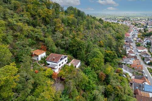 Foto - Haus zum Kaufen in Wachenheim 420.000,00 € 150 m²