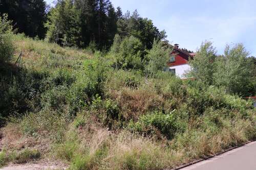 Foto - Grundstück zu verkaufen in Horbach 45.000,00 € 1355 m²