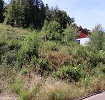 Grundstück zu verkaufen in Horbach 45.000,00 € 1355 m²