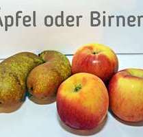 Haus zum Kaufen in Müncheberg 179.500,00 € 109 m²