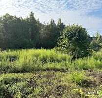 Grundstück zu verkaufen in Lengerich 120.000,00 € 499 m²